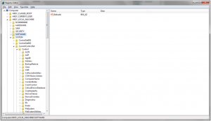 Windows_7_Registry_Editor_HKLM_Software