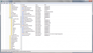 Windows_7_Registry_Editor_HKLM_Software_Lsa